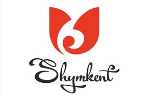 На уроках рисования ученики 6б класса под руководством учителя Тамаровой Е.И.изготовили кукол из подручного материала