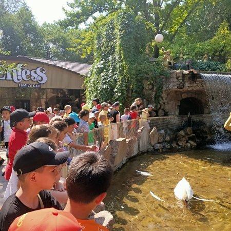 Канал " ЖИВАЯ ПРИРОДА" работал на пришкольном "Детском ТВ" 7 июня 2022 года.