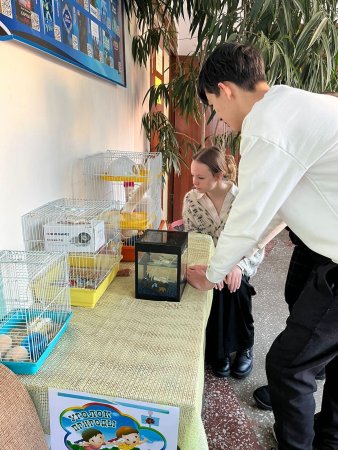 МЫ НАЧИНАЕМ ПУТЕШЕСТВИЕ В МИР НАУК!  ОТКРЫТИЕ НЕДЕЛИ ЕСТВЕСТВЕННЫХ НАУК!