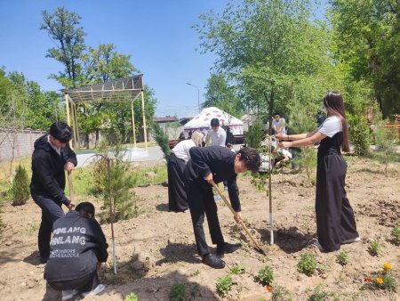 🌳🌳🌳«ТАЗА ҚАЗАҚСТАН» 🌳🌳🌳      🏫 🌳«МЕНІҢ МЕКТЕБІМ» 🌳 🏫