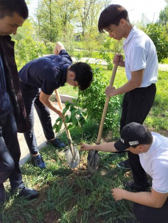 "ТҮЛЕКТЕРДІҢ АҒАШ ЕГУ"